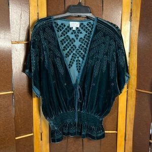 Johnny Was Jade beautiful jade velvet eyelet embroidered top.